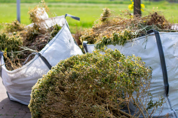 Best Yard Waste Removal  in Whitley City, KY